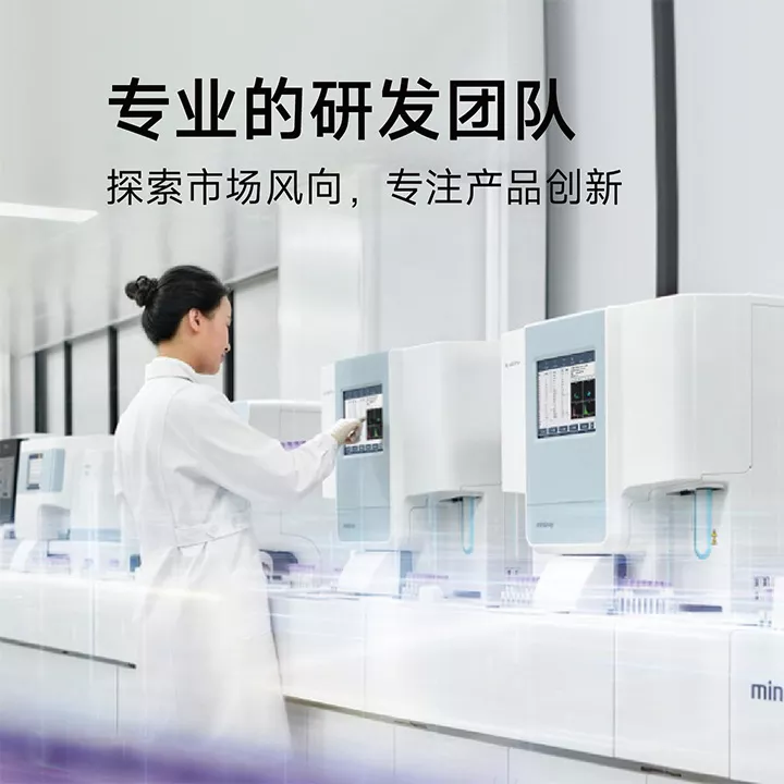 专业的研发团队